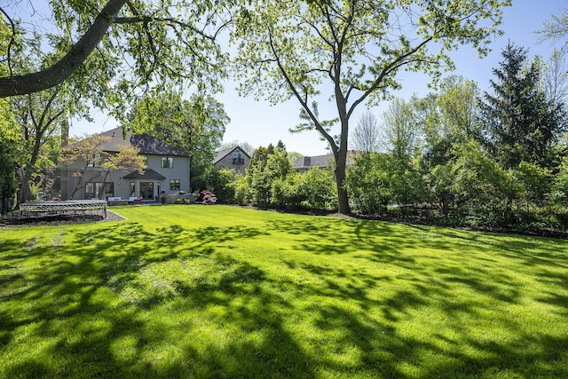 244 Kenmore Ave, Deerfield, IL 60015 - view of green lawn with a trampoline