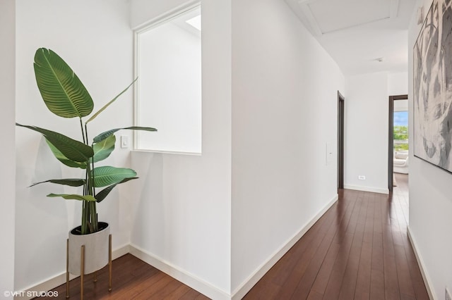 3635 N Paulina St, Chicago, IL 60613 - corridor with wood-type flooring, attic access, and baseboards