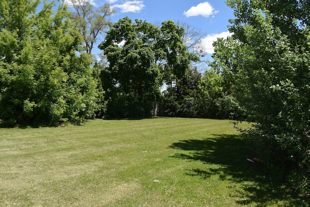 437 Rose St, Bensenville, IL 60106 - photo 1