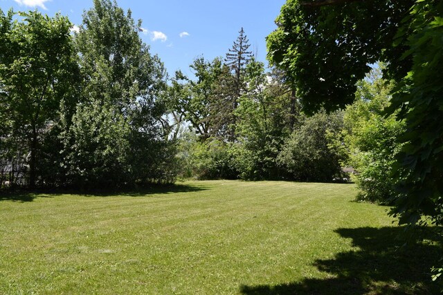 437 Rose St, Bensenville, IL 60106 - photo 13