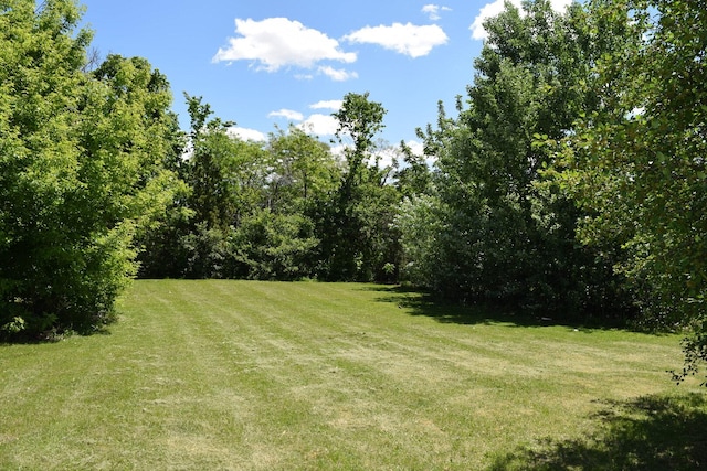 437 Rose St, Bensenville, IL 60106 - photo 14