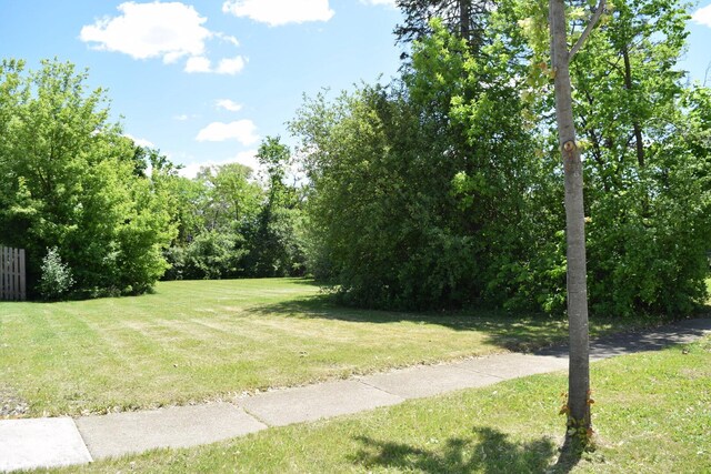 437 Rose St, Bensenville, IL 60106 - photo 15