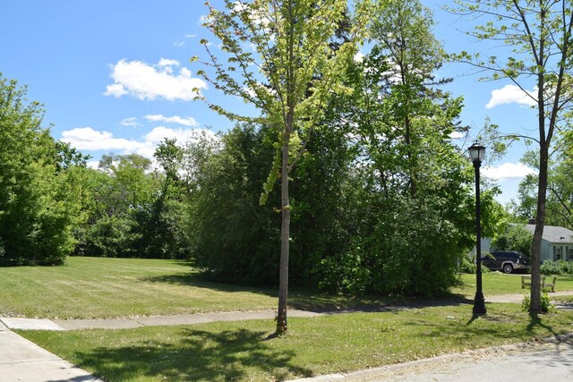 437 Rose St, Bensenville, IL 60106 - photo 22