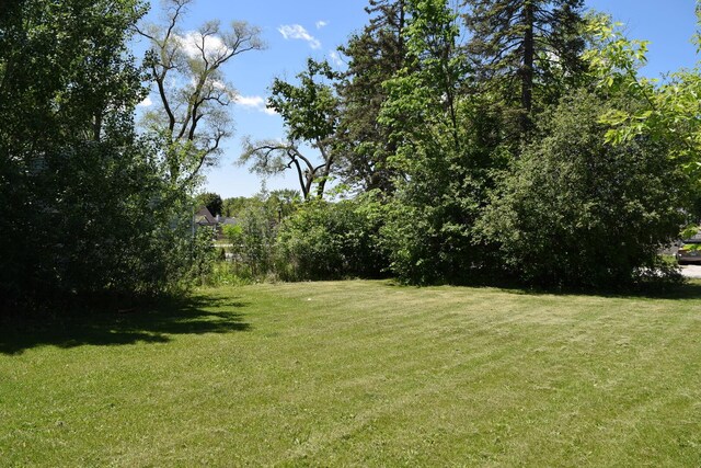 437 Rose St, Bensenville, IL 60106 - photo 7