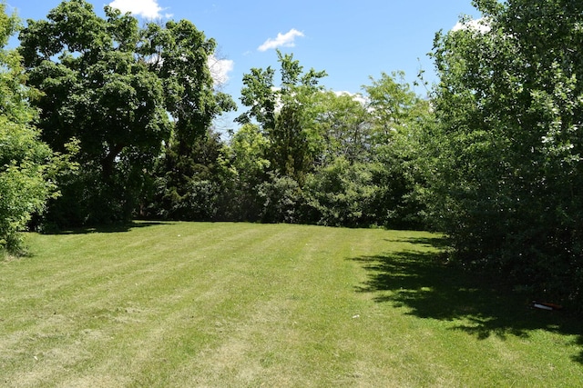 437 Rose St, Bensenville, IL 60106 - photo 9