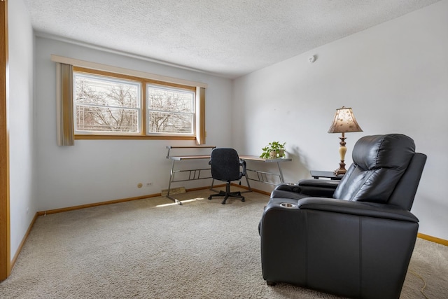 410 W Kirchhoff Rd, Arlington Heights, IL 60005 - carpeted office featuring a textured ceiling and baseboards
