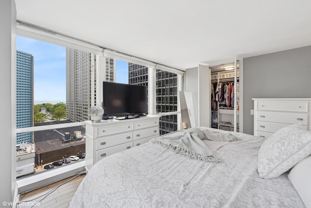 340 W Diversey Pkwy Unit 1020, Chicago, IL 60657 - bedroom with wood finished floors, a closet, and a walk in closet