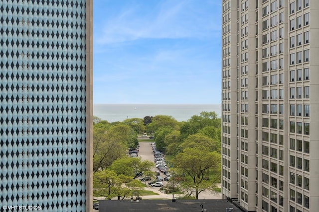 340 W Diversey Pkwy Unit 1020, Chicago, IL 60657 - water view