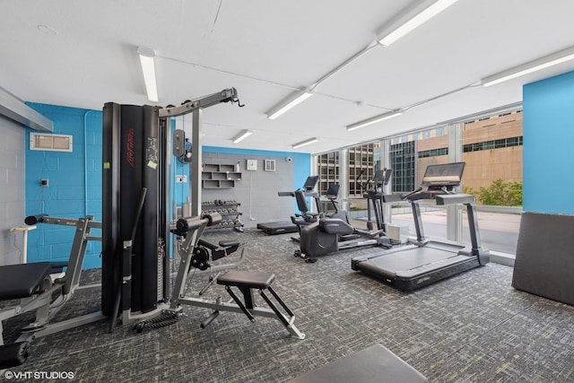 340 W Diversey Pkwy Unit 1020, Chicago, IL 60657 - gym featuring concrete block wall and carpet floors