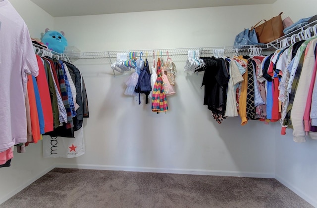 208 Cooper St, Plano, IL 60545 - walk in closet with carpet floors