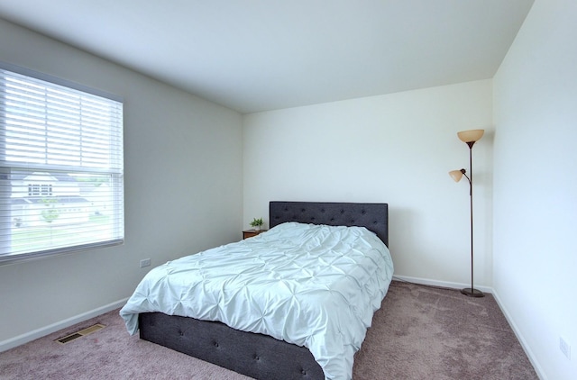 208 Cooper St, Plano, IL 60545 - bedroom with carpet flooring and baseboards