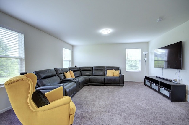 208 Cooper St, Plano, IL 60545 - carpeted living room featuring baseboards