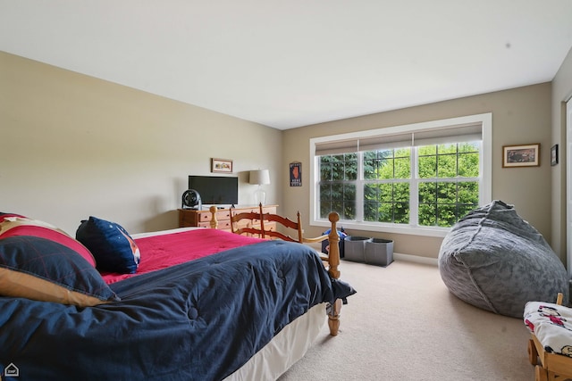 3404 Royal Woods Dr, Crystal Lake, IL 60014 - bedroom with carpet flooring and baseboards