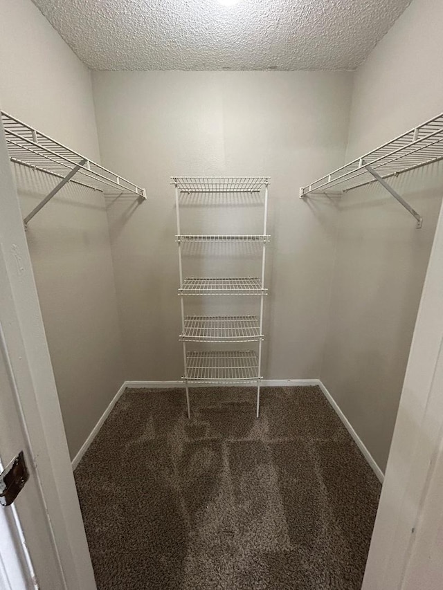 2044 N Rand Rd Unit 107, Palatine, IL 60074 - spacious closet with carpet
