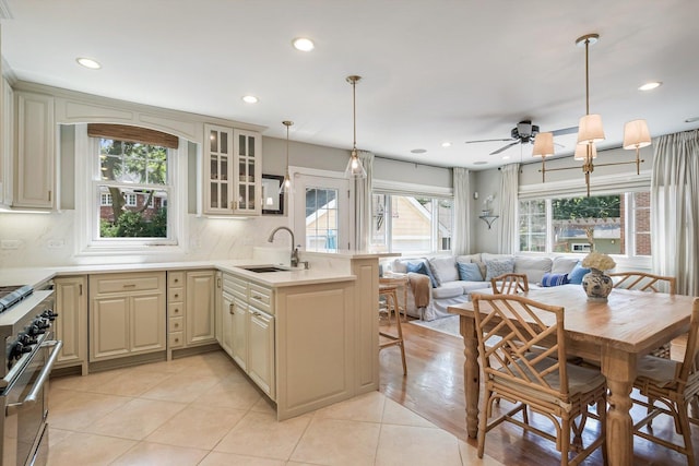 1633 S Vine Ave, Park Ridge, IL 60068 - photo 10