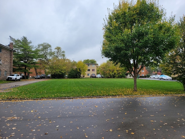 268 7th St, Wheeling, IL 60090 - photo 4