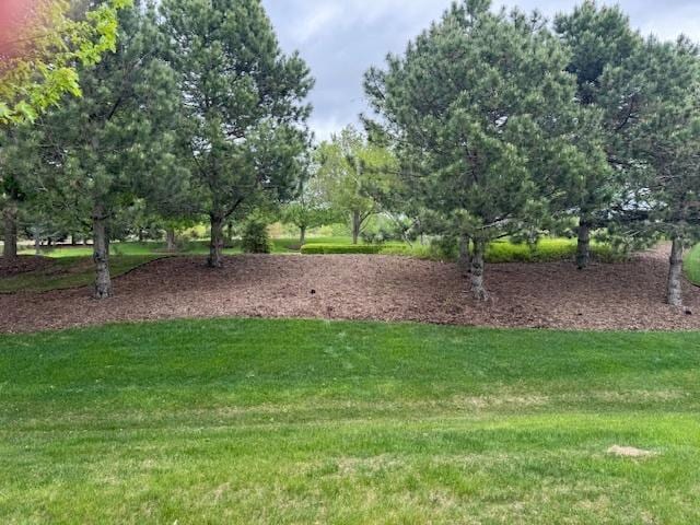 3881 Melody St, Mundelein, IL 60060 - surrounding community with a lawn