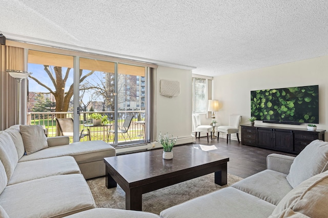 2211 S Highland Ave Unit 1B, Lombard, IL 60148 - living area with wood finished floors and a textured ceiling