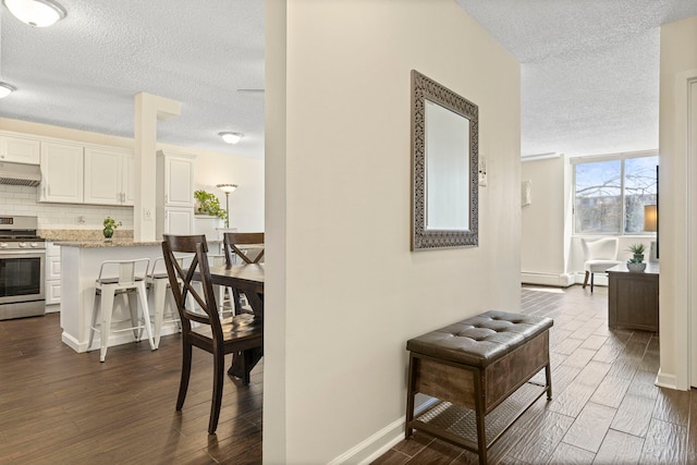 2211 S Highland Ave Unit 1B, Lombard, IL 60148 - hallway with a textured ceiling, dark wood finished floors, baseboards, and baseboard heating