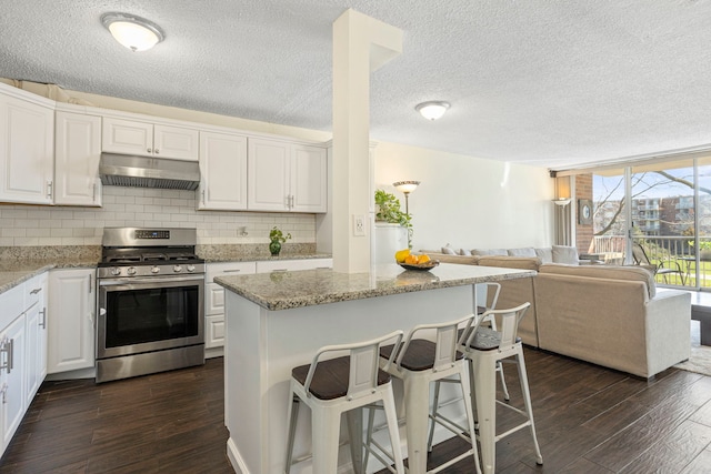 2211 S Highland Ave Unit 1B, Lombard, IL 60148 - kitchen with stainless steel gas range oven, under cabinet range hood, open floor plan, dark wood-style flooring, and a textured ceiling