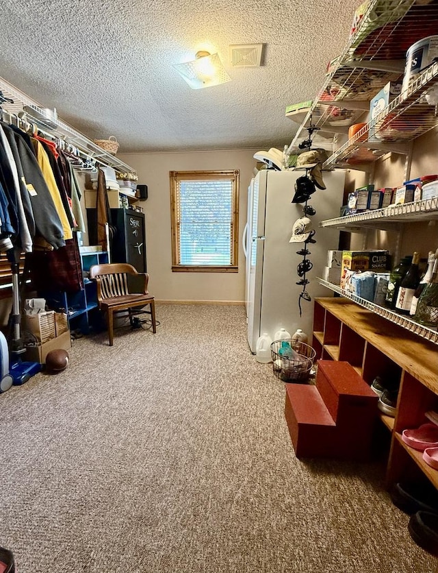 403 E Hickory St, Fairbury, IL 61739 - spacious closet featuring carpet