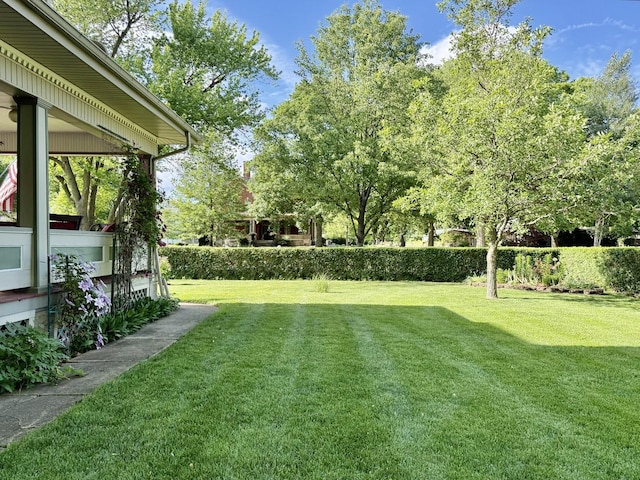 403 E Hickory St, Fairbury, IL 61739 - view of green lawn
