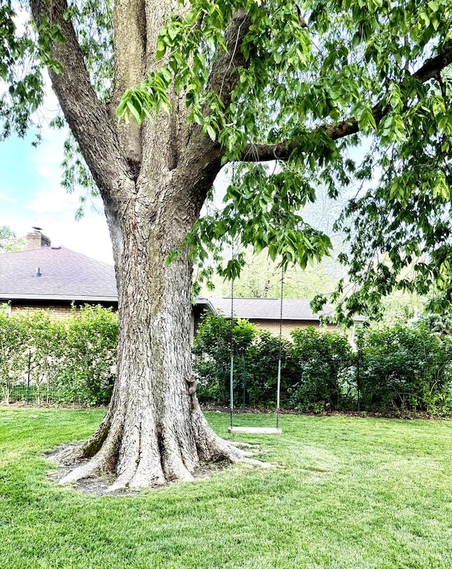 403 E Hickory St, Fairbury, IL 61739 - view of grassy yard