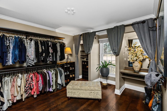 2165 Sunderland Ct Unit 101A, Naperville, IL 60565 - view of spacious closet