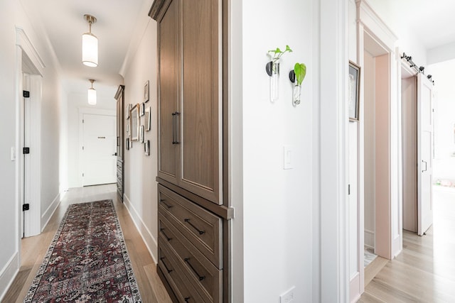 5N257 Switchgrass Ln, Saint Charles, IL 60175 - hall with light wood-style flooring and baseboards