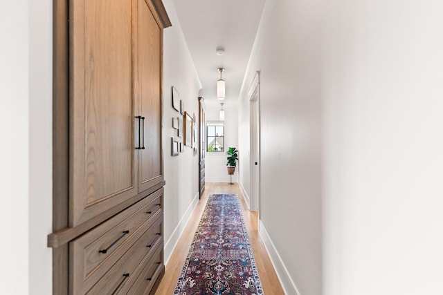 5N257 Switchgrass Ln, Saint Charles, IL 60175 - corridor featuring light wood-type flooring and baseboards