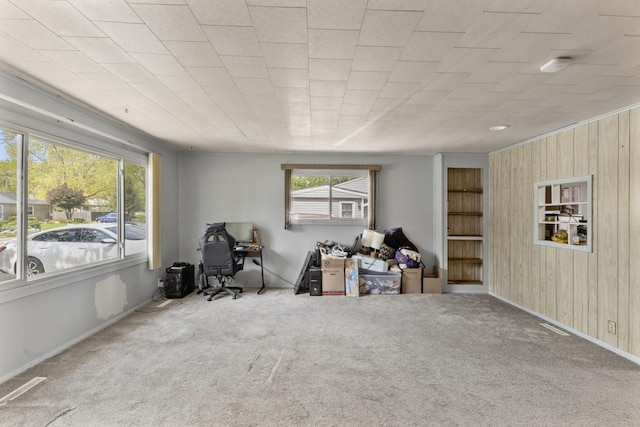 8 Sparrow Rd, Carpentersville, IL 60110 - interior space with wood walls, carpet, and baseboards
