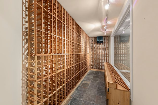 2110 Lillian Ln, Lisle, IL 60532 - wine area with stone finish flooring