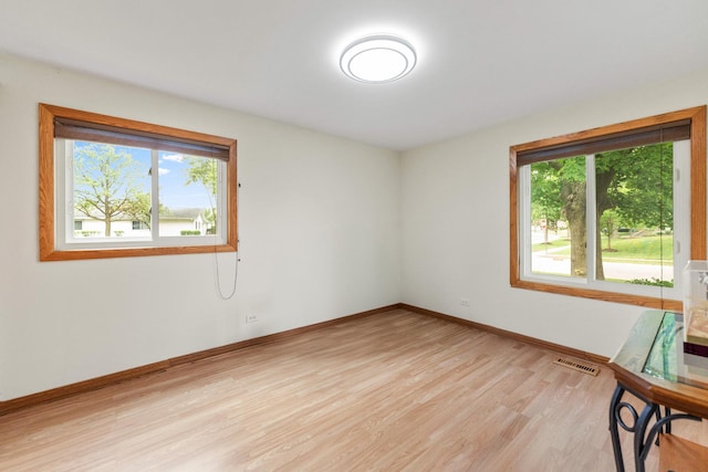 1018 Brighton Ct, Schaumburg, IL 60193 - unfurnished room featuring plenty of natural light, light wood-style flooring, and baseboards