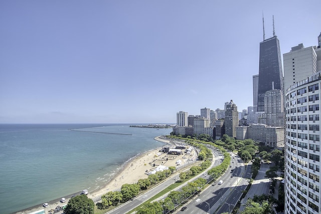 1212 N Lake Shore Dr Unit 21As, Chicago, IL 60610 - water view featuring skyline and local beach
