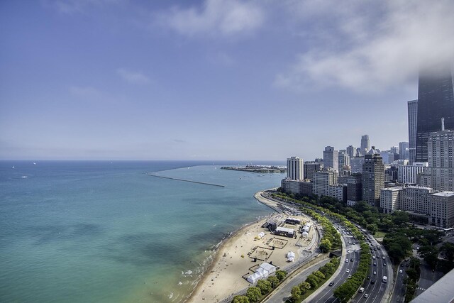 1212 N Lake Shore Dr Unit 21As, Chicago, IL 60610 - water view with skyline