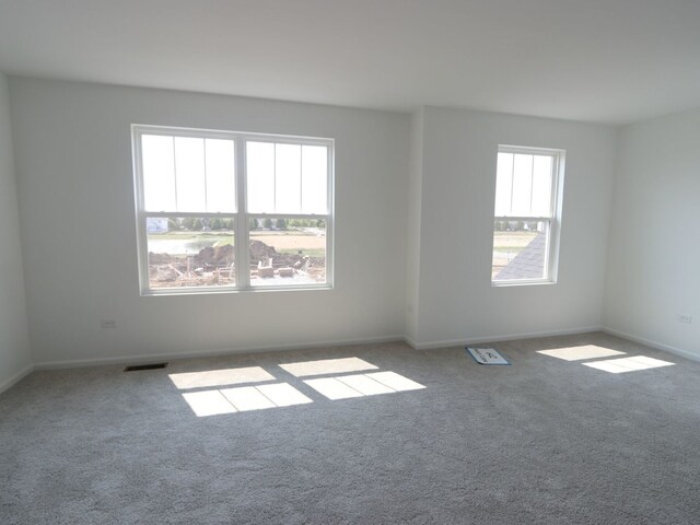 642 Henry Ln, Oswego, IL 60543 - photo 12