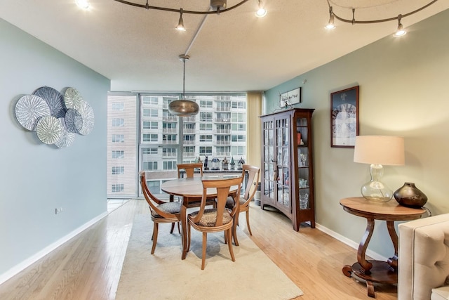 1580 Sherman Ave Unit 1006, Evanston, IL 60201 - dining room featuring rail lighting, light wood-style floors, a wall of windows, and baseboards