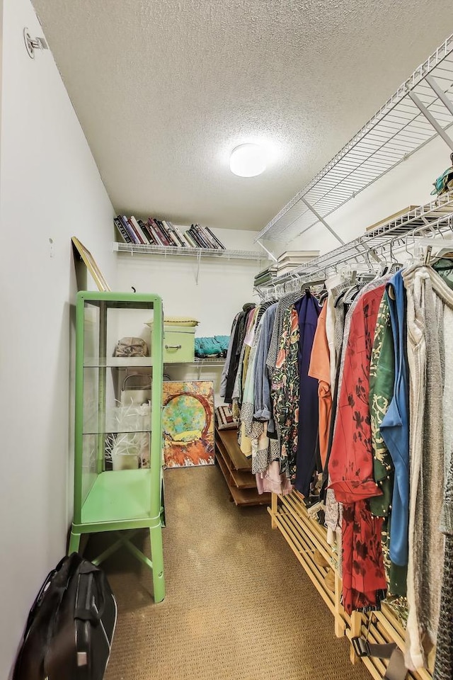 1580 Sherman Ave Unit 1006, Evanston, IL 60201 - spacious closet featuring carpet flooring