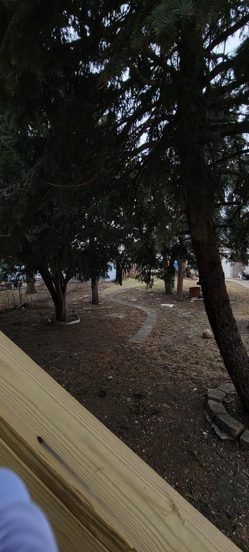 6238 S Kolmar Ave, Chicago, IL 60629 - view of yard