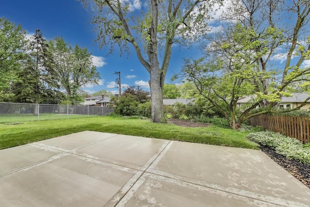 502 S William St, Mount Prospect, IL 60056 - view of yard with a patio area