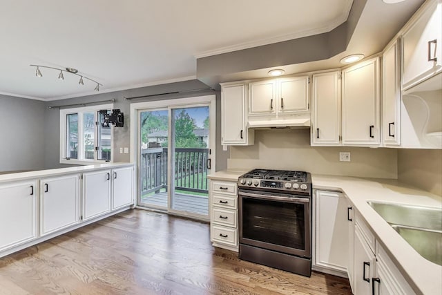 654 N Robinson Dr, Palatine, IL 60074 - kitchen featuring gas stove, ornamental molding, light countertops, light wood-style floors, and under cabinet range hood