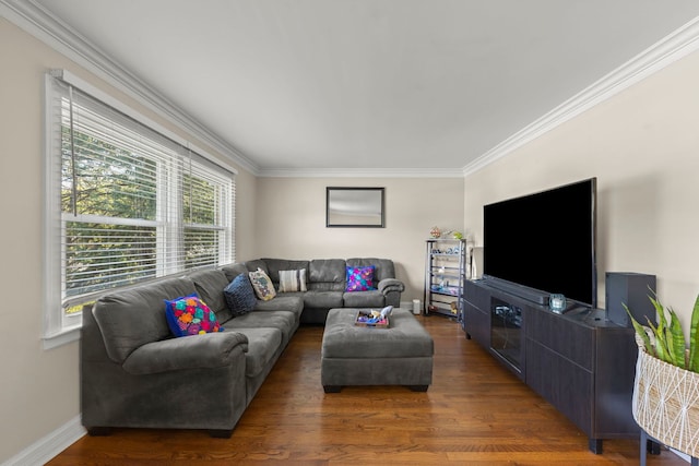 573 Maple Ave, Lisle, IL 60532 - living room featuring crown molding, baseboards, and wood finished floors