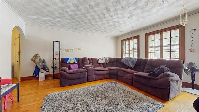 7360 N Damen Ave Unit 1S, Chicago, IL 60645 - living room featuring arched walkways, wood finished floors, ornamental molding, and baseboards