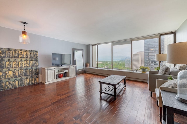 5455 N Sheridan Rd Unit 3006, Chicago, IL 60640 - living room with wood-type flooring