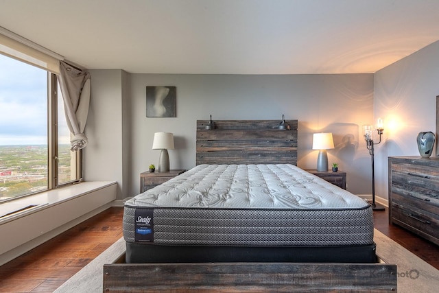 5455 N Sheridan Rd Unit 3006, Chicago, IL 60640 - bedroom with wood finished floors and baseboards