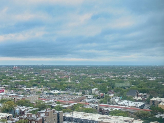 5455 N Sheridan Rd Unit 3006, Chicago, IL 60640 - view of urban area
