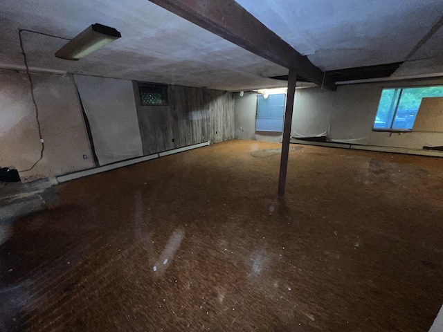 307 Northern Oaks Dr, Groveland, IL 61535 - view of basement
