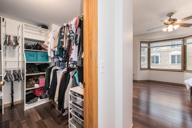 1705 Pavilion Way Unit 401, Park Ridge, IL 60068 - walk in closet featuring wood finished floors and a ceiling fan
