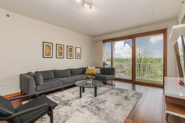 1705 Pavilion Way Unit 401, Park Ridge, IL 60068 - living room with hardwood / wood-style flooring
