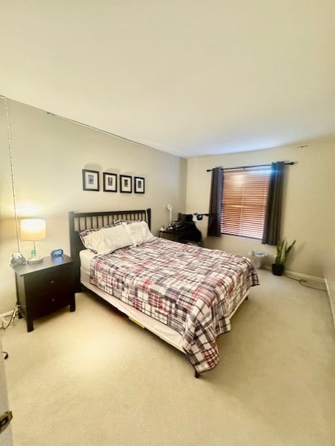 1676 Fredericksburg Ln, Aurora, IL 60503 - bedroom with carpet flooring
